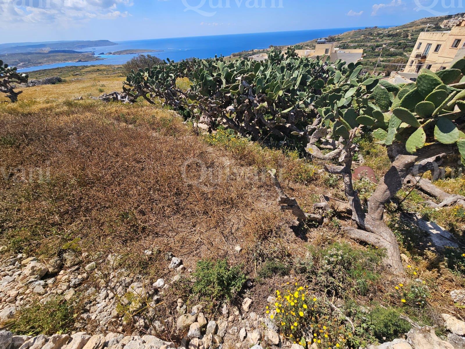 Agricultural land facing open views in Qala