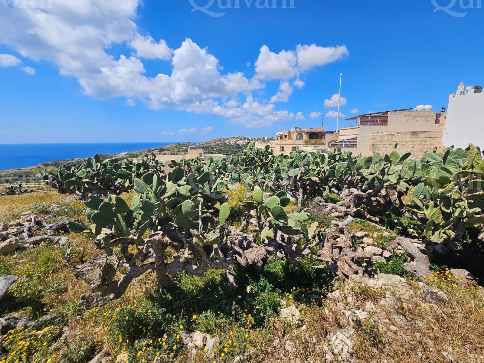Agricultural land facing open views in Qala