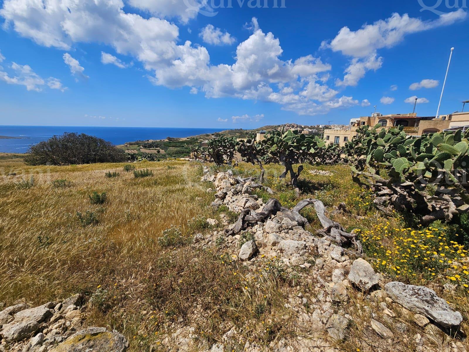 Agricultural land facing open views in Qala