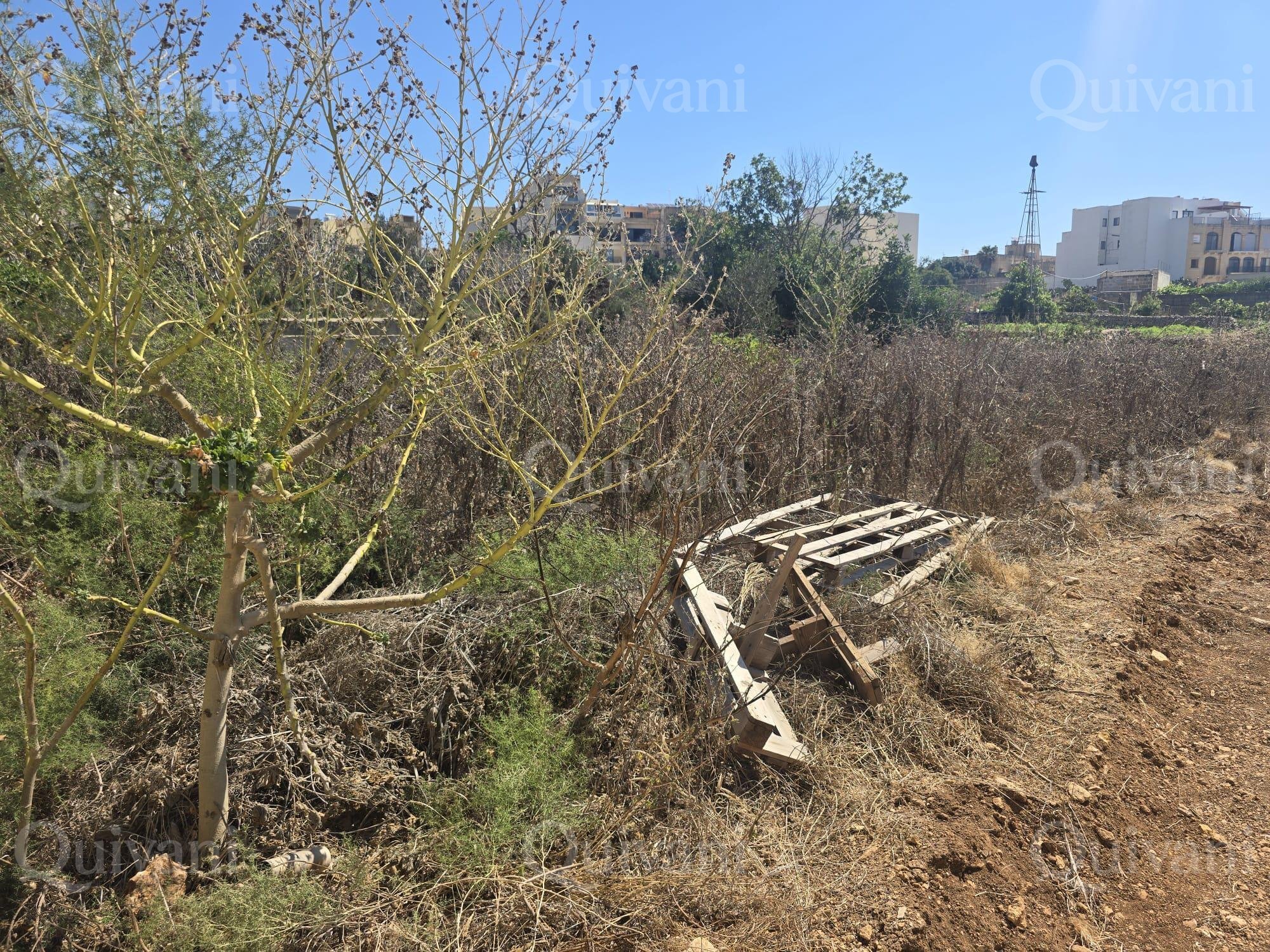 Agricultural Land Xaghra