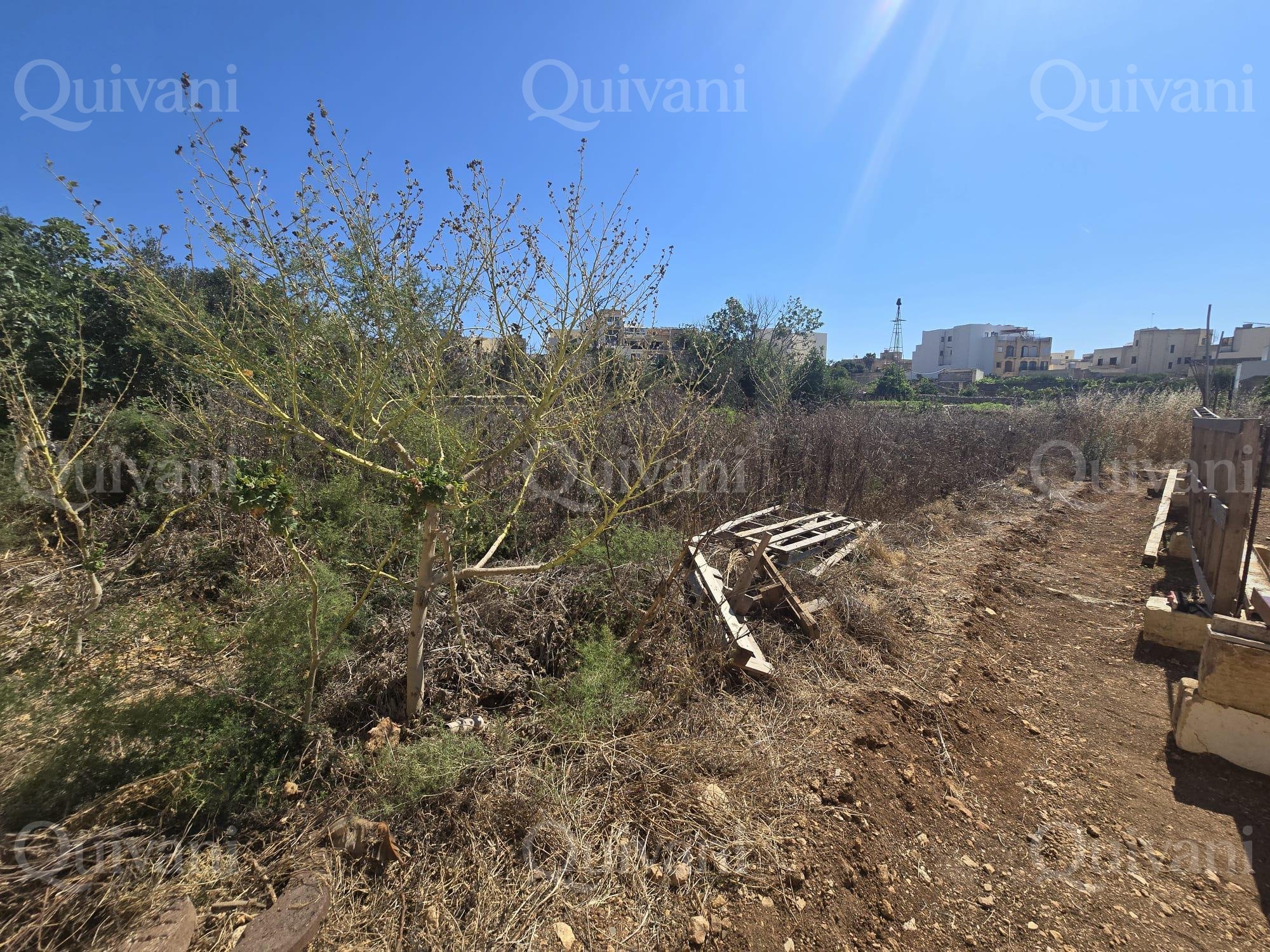 Agricultural Land Xaghra