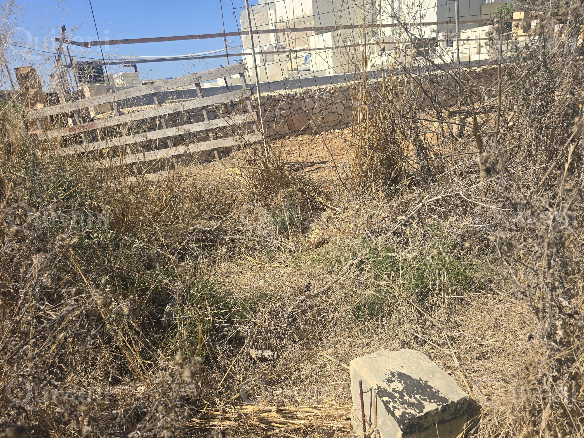 Agricultural Land Xaghra