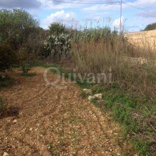 Sannat, Agricultural Land