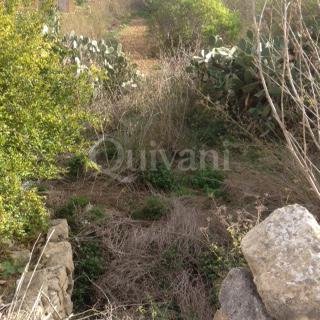 Sannat, Agricultural Land