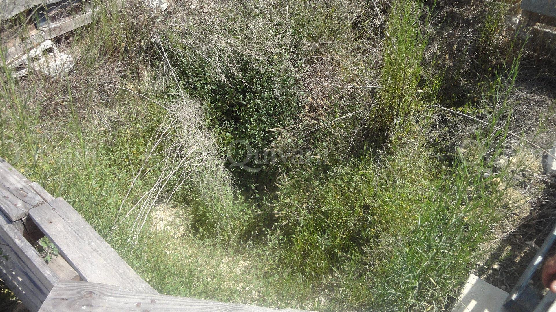 Zebbug (Gozo) Agricultural Land
