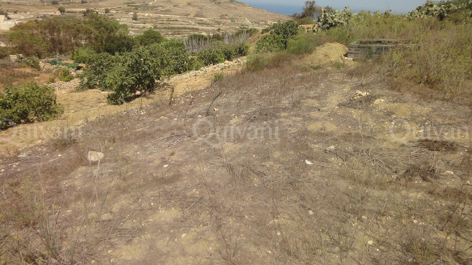 Zebbug (Gozo) Agricultural Land