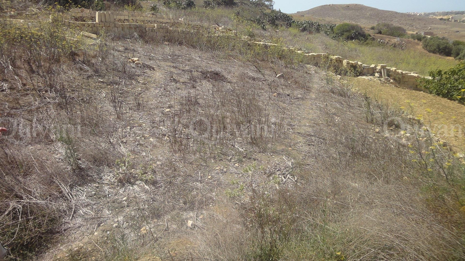 Zebbug (Gozo) Agricultural Land