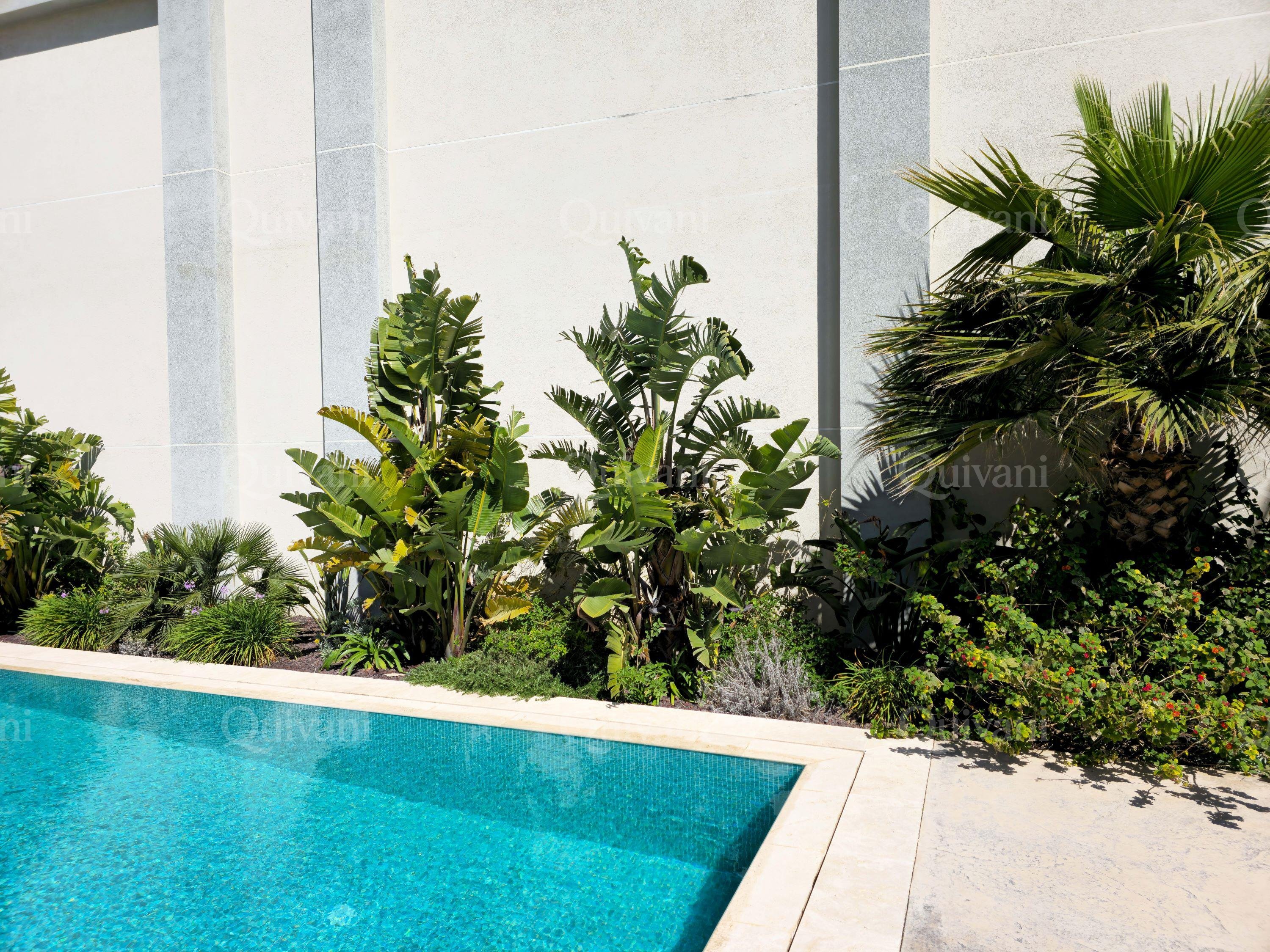 Xaghra, Shell form Penthouse