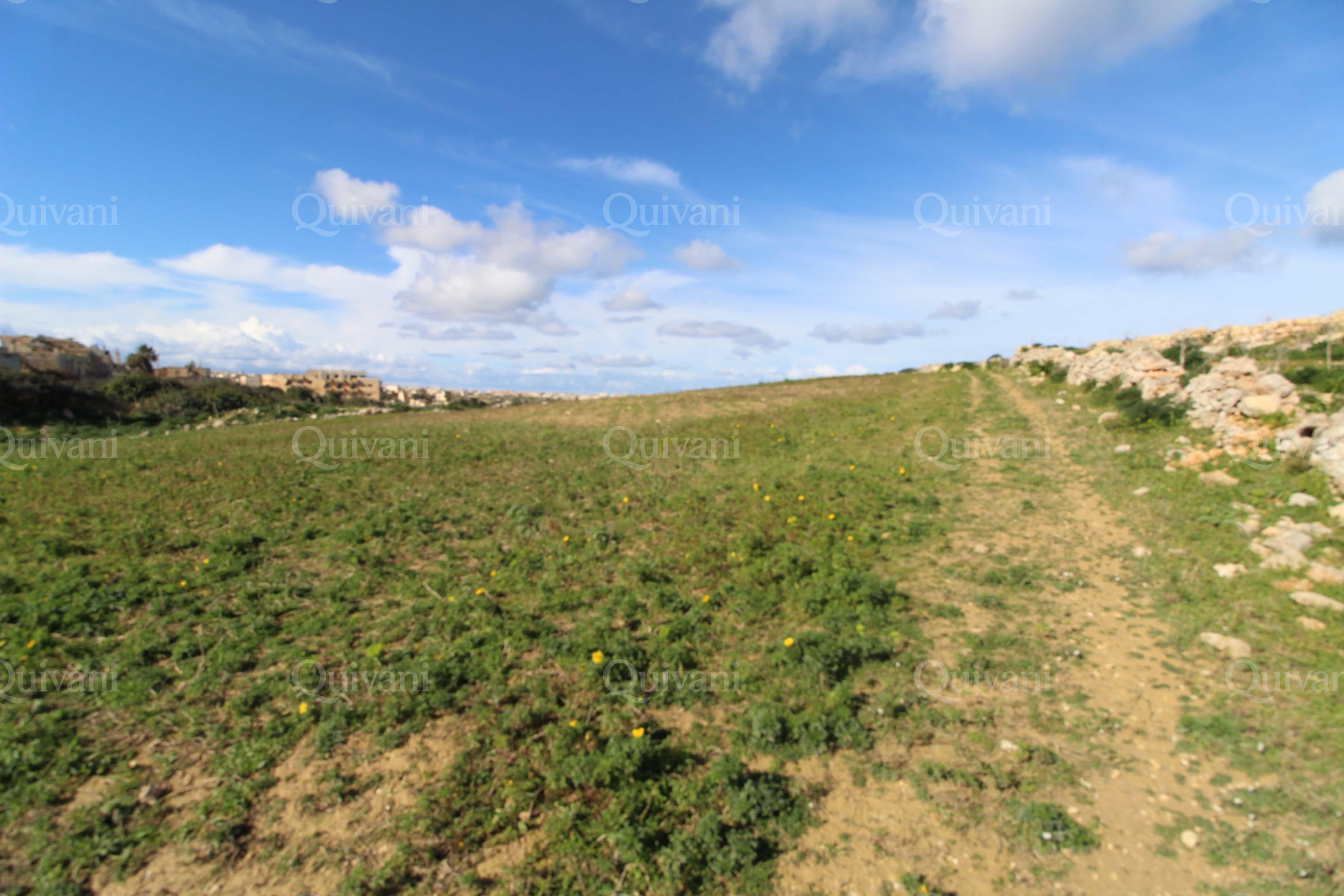Qala