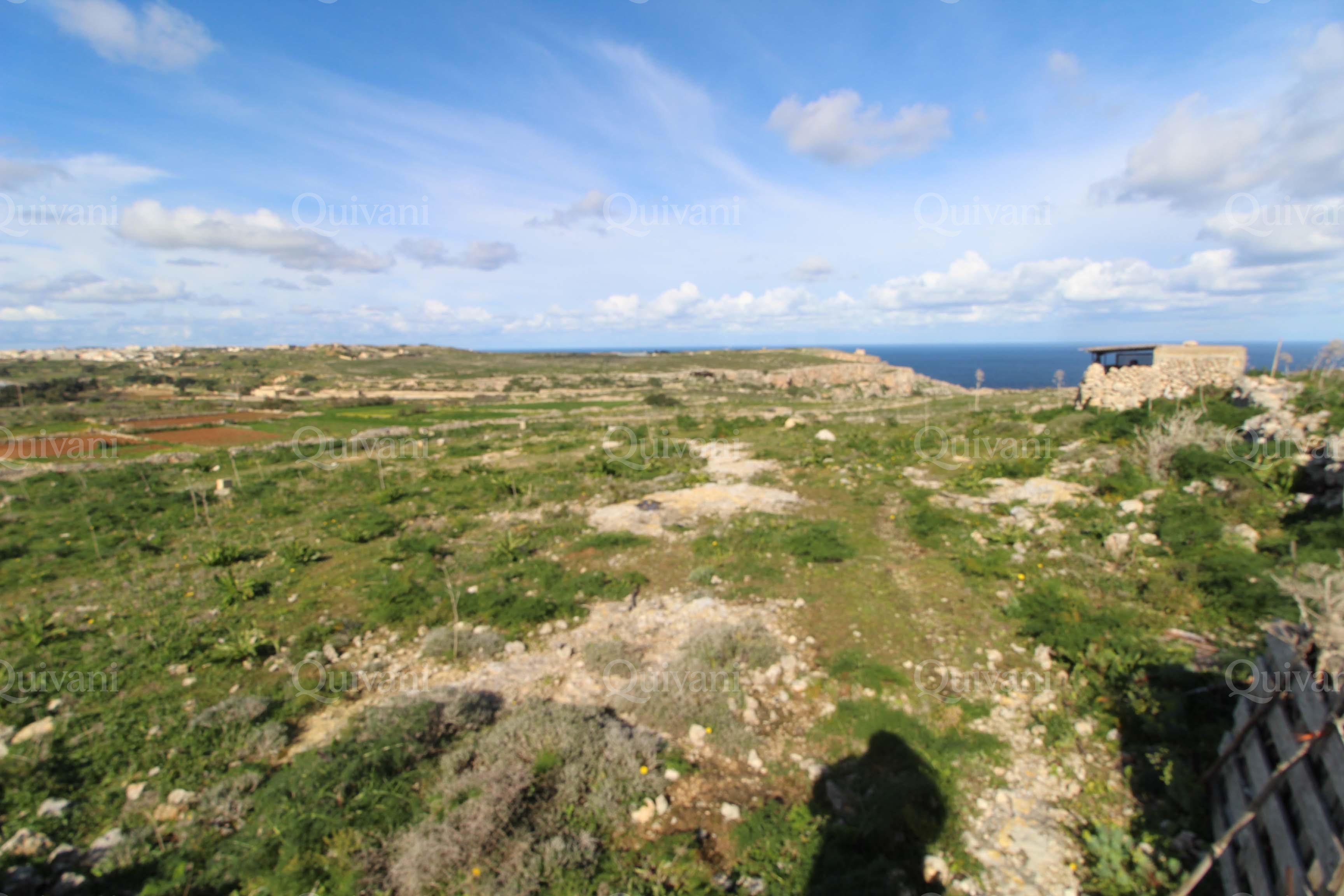Qala