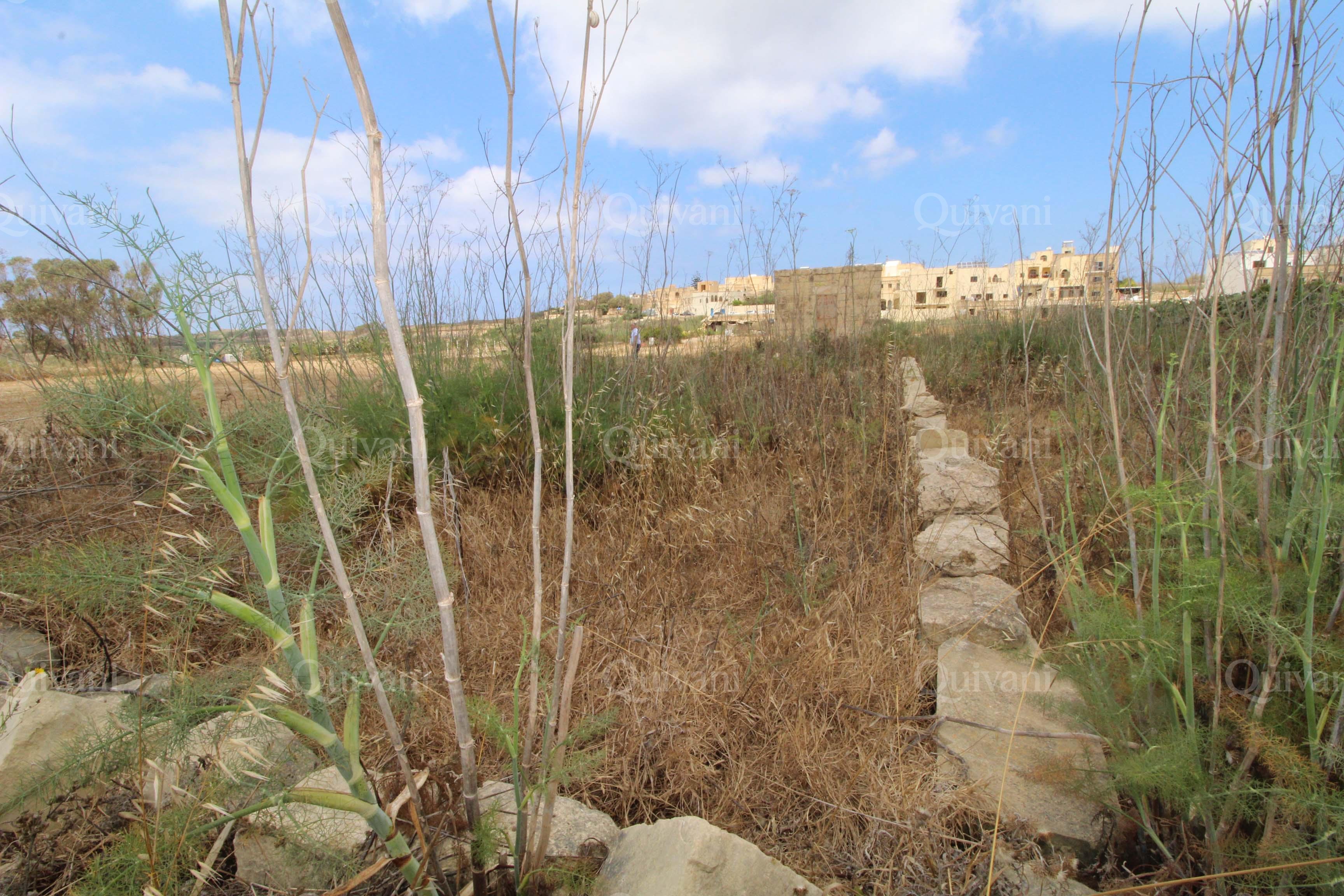 Gharb