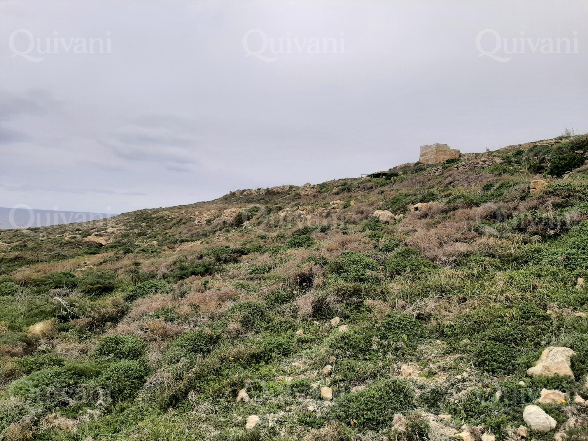 Zebbug (Gozo)