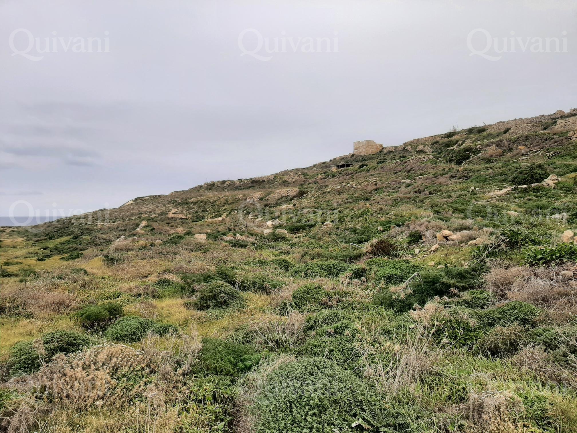 Zebbug (Gozo)