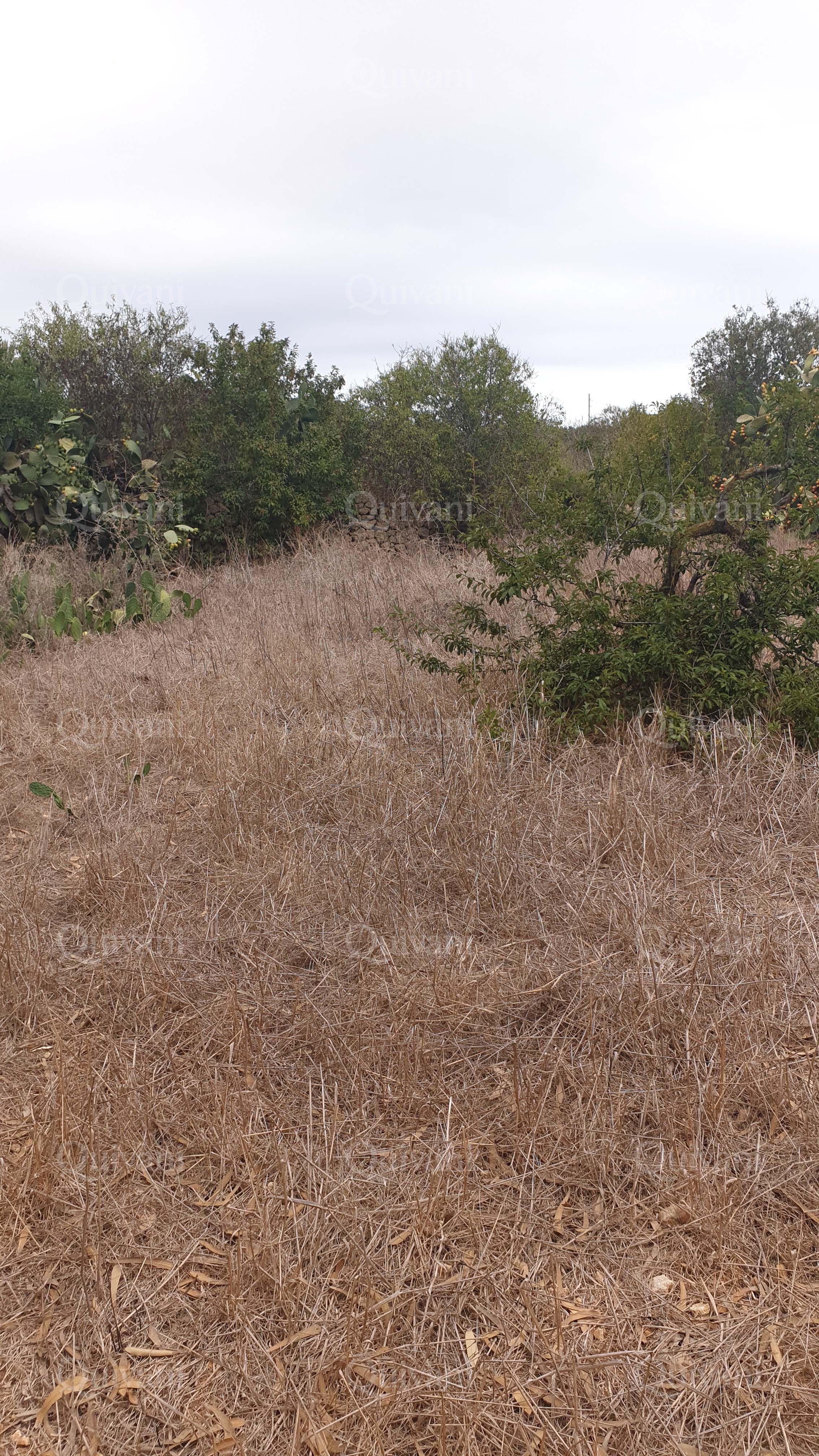 Xaghra Agricultural Land