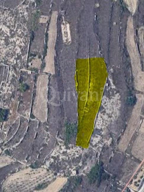 Gharb Agricultural Land