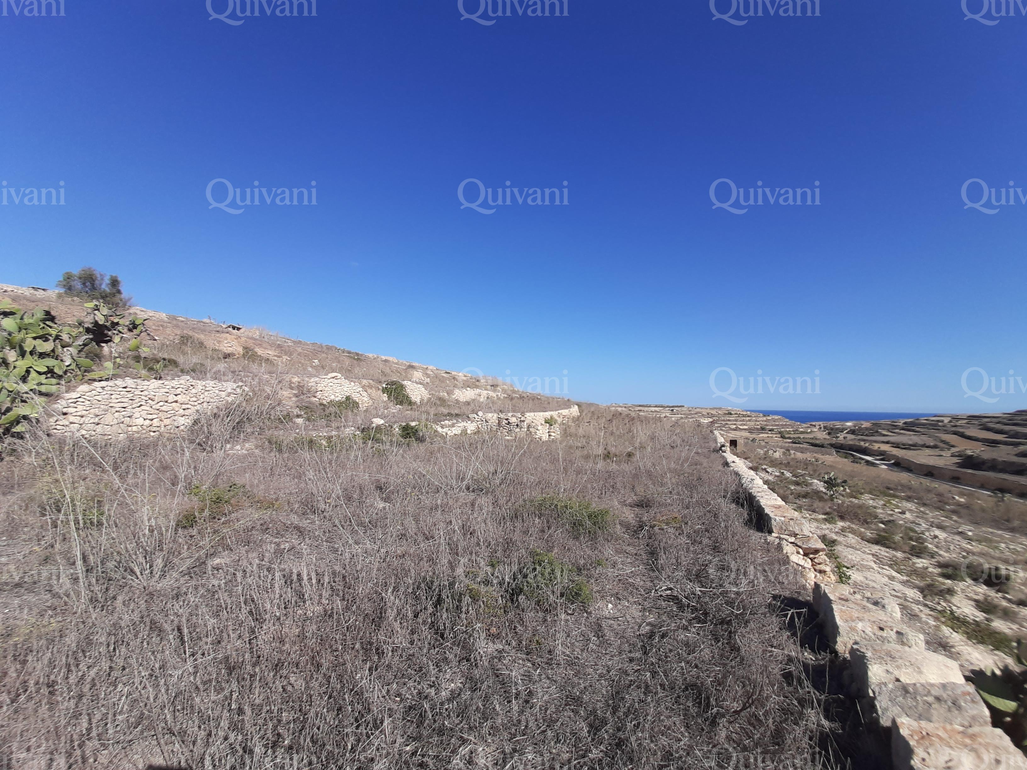 Gharb Agricultural Land