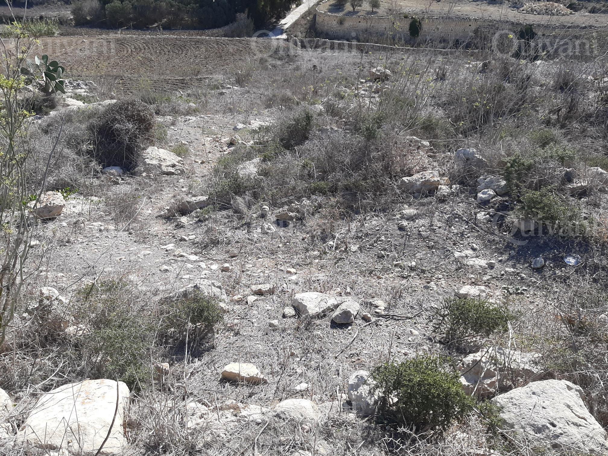 Gharb Agricultural Land