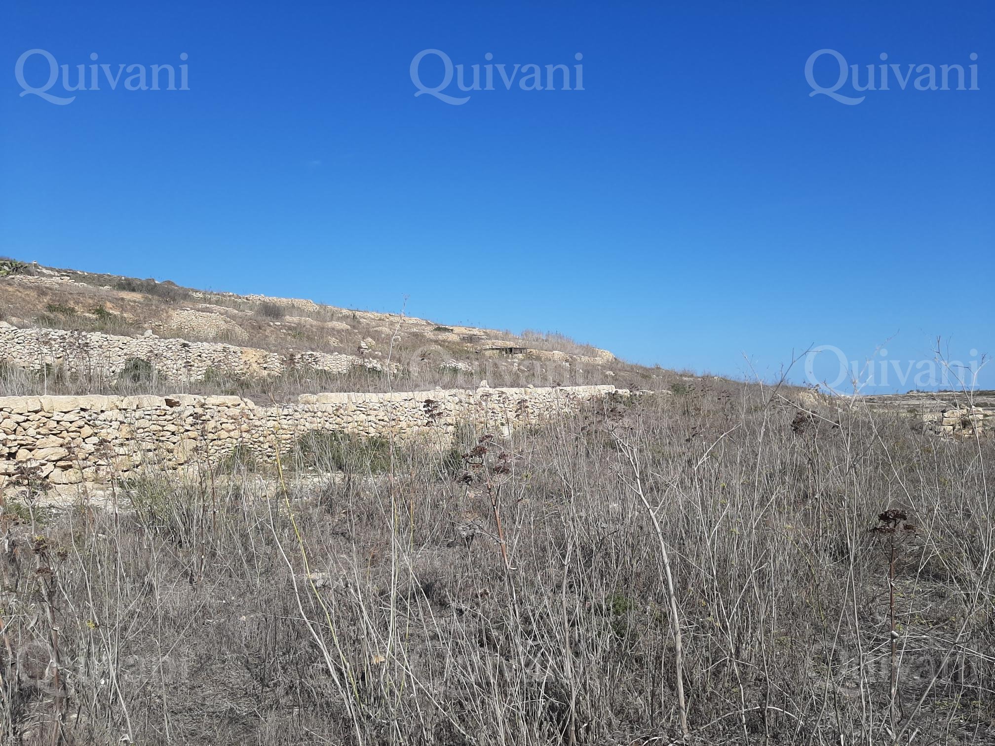 Gharb Agricultural Land