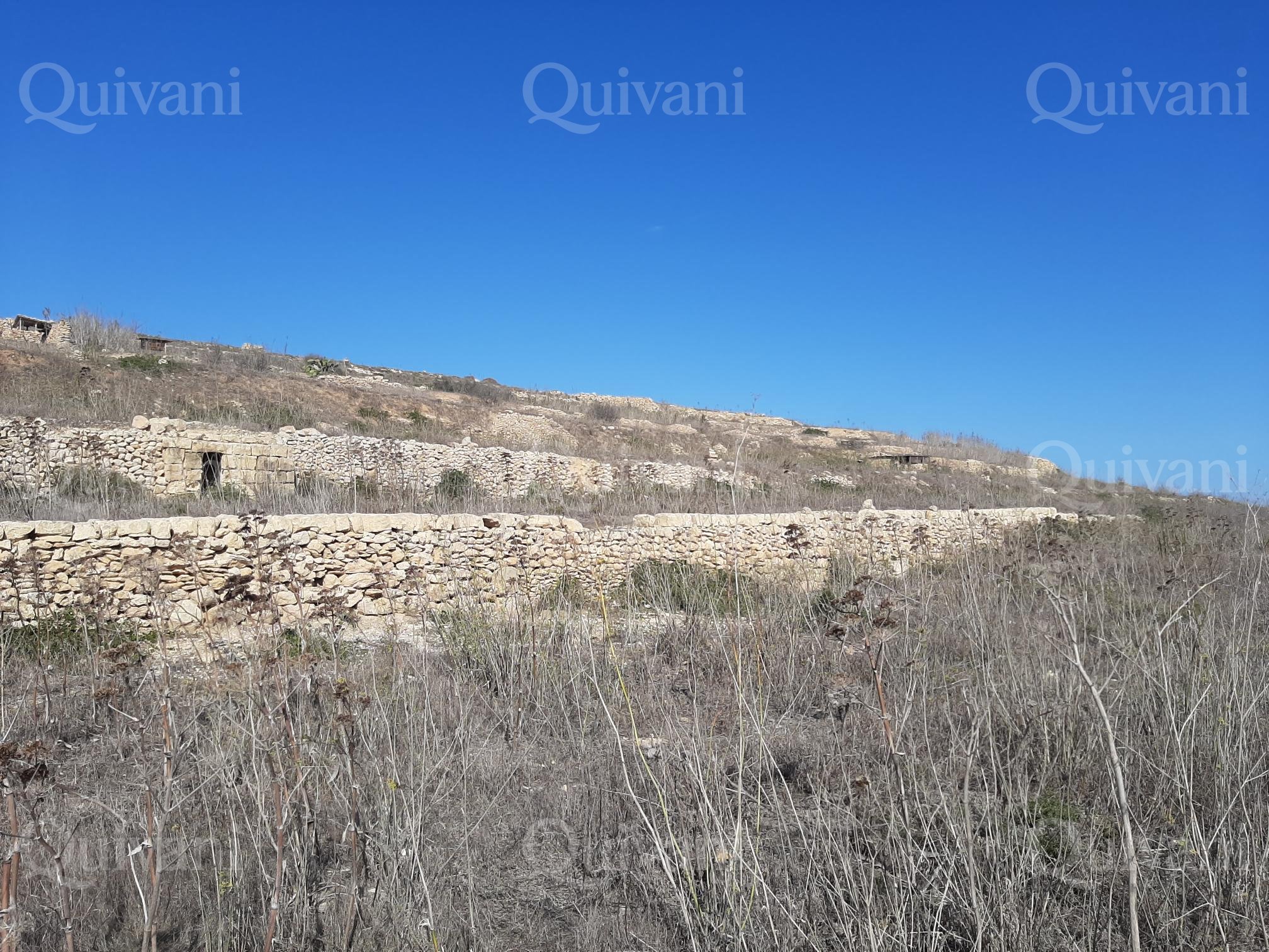 Gharb Agricultural Land