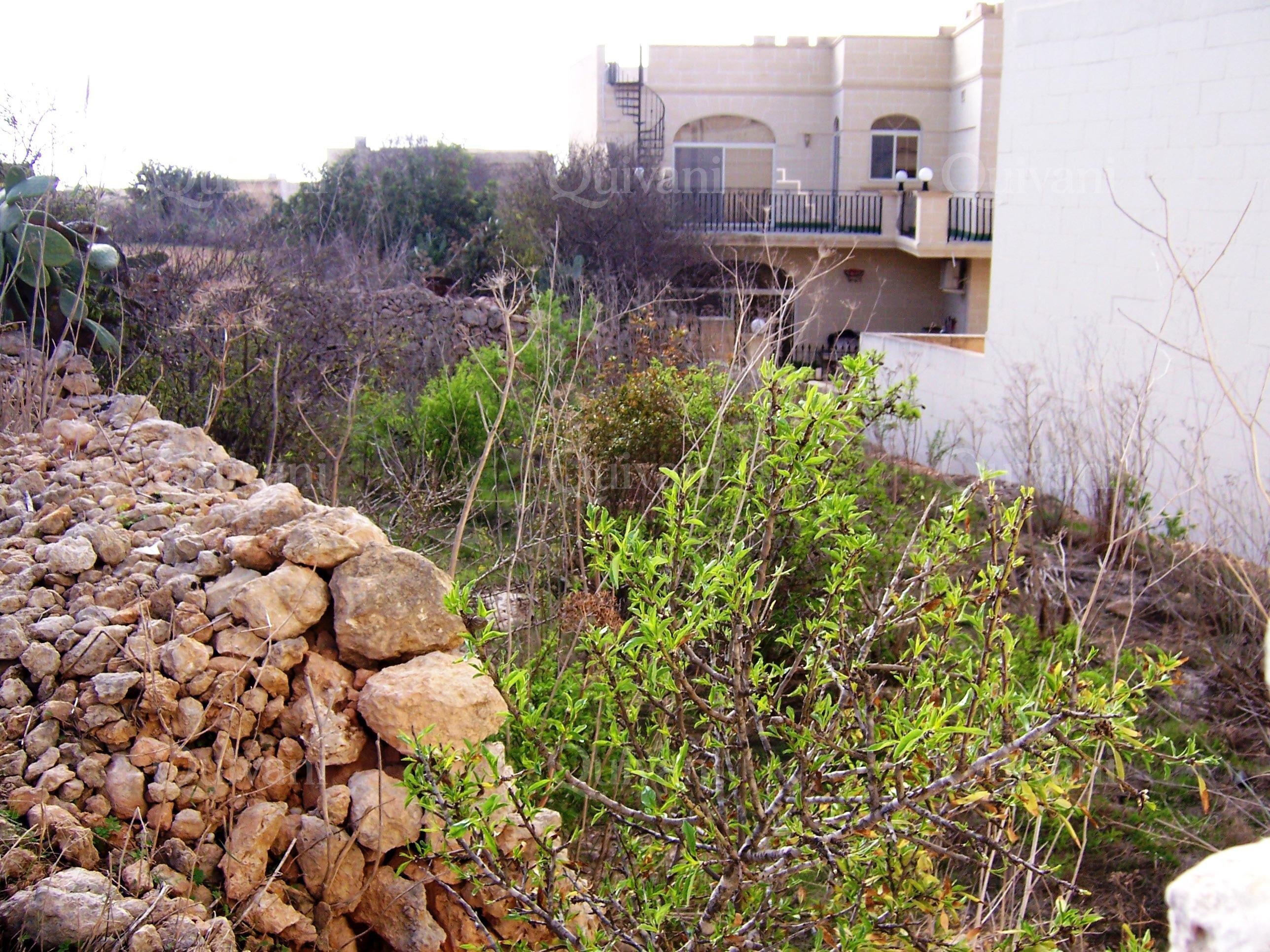 Qala Plot (Residential)