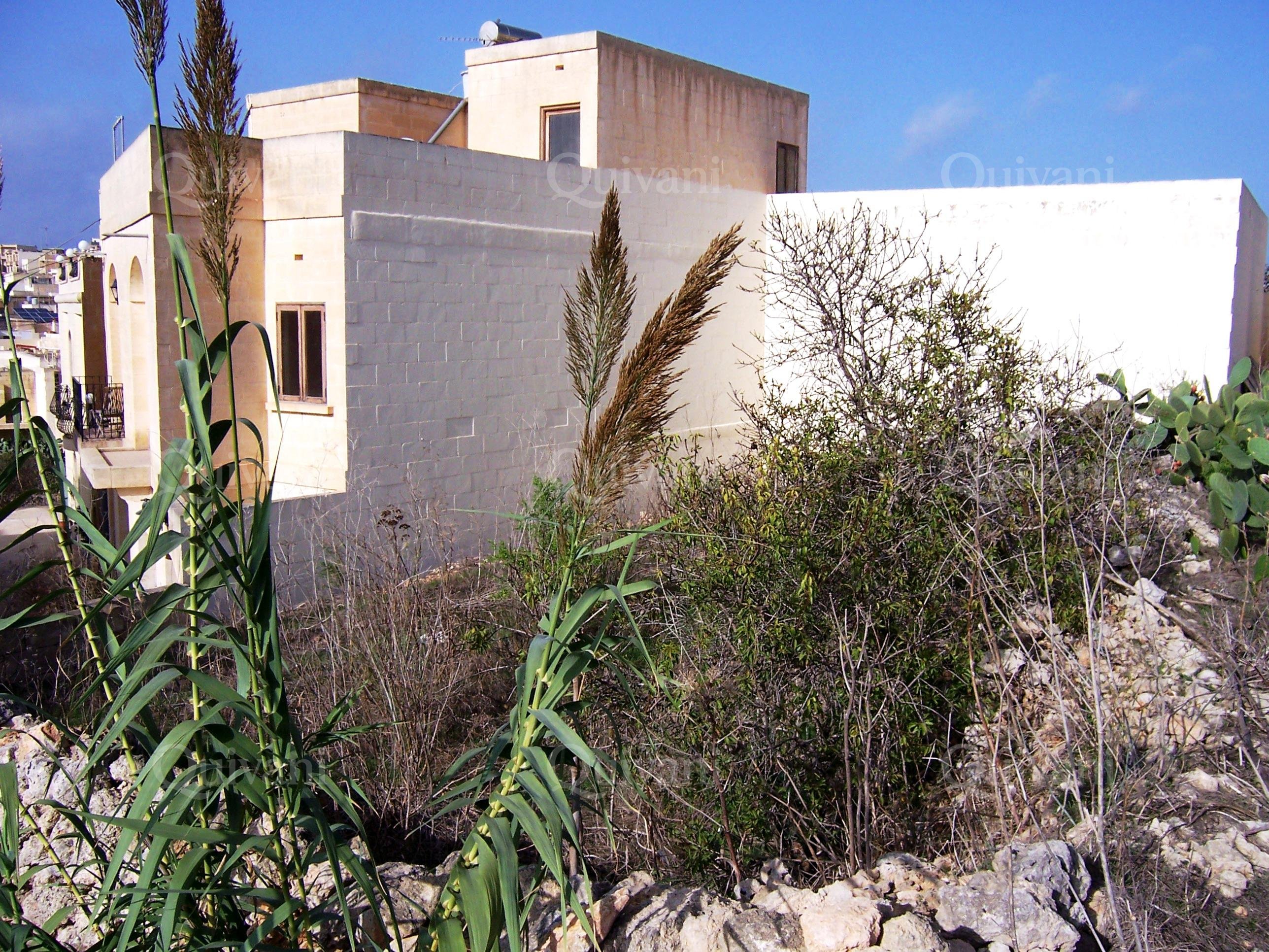 Qala Plot (Residential)