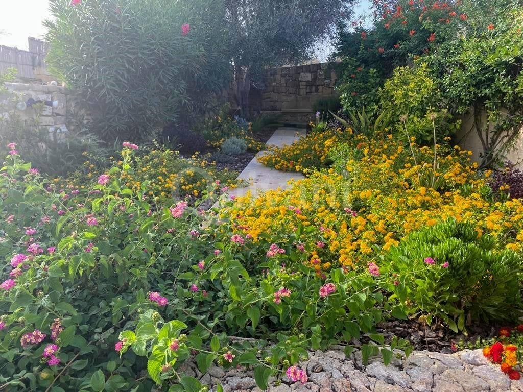 Qala, Furnished House of Character