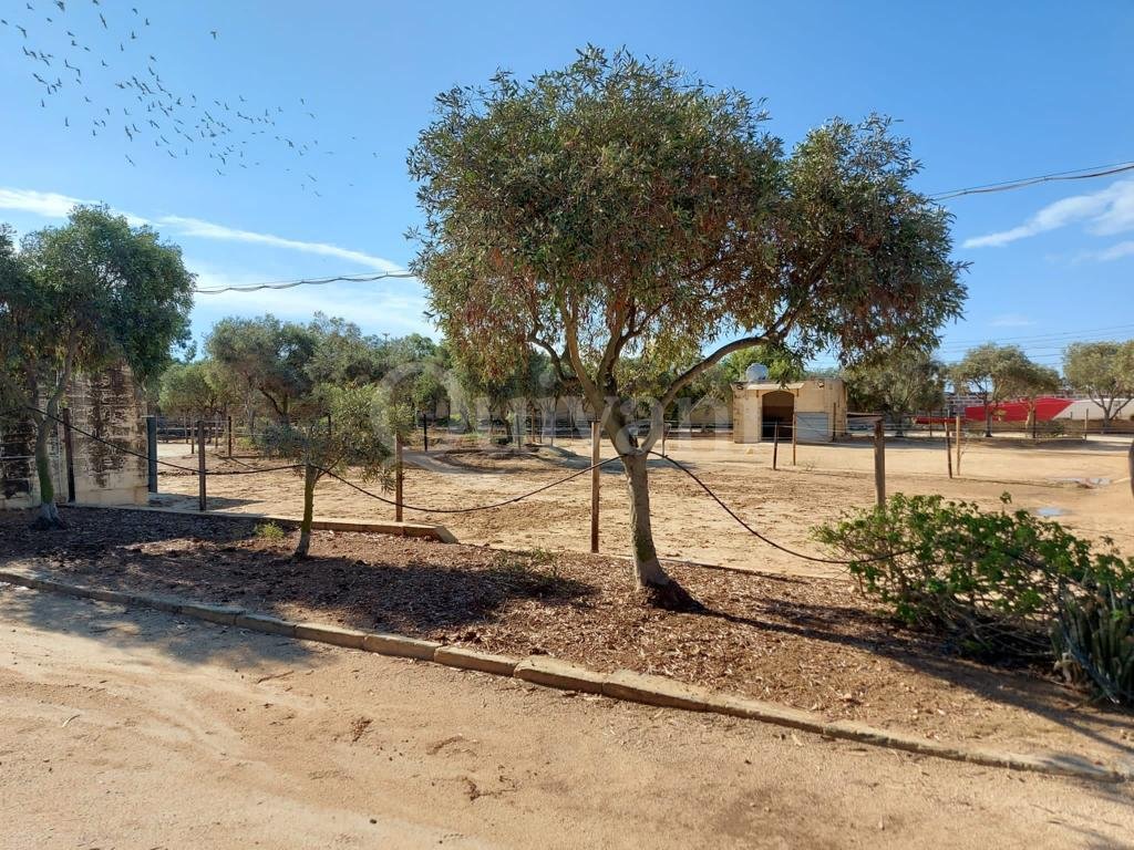 Zabbar, Converted Farmhouse