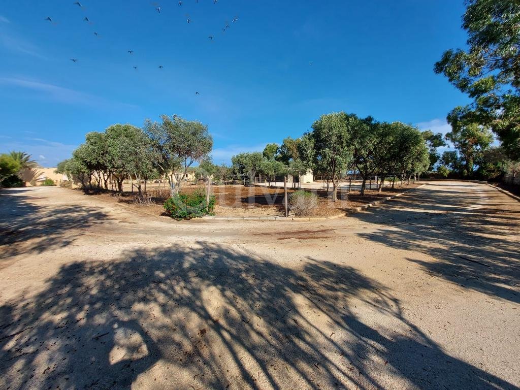 Zabbar, Converted Farmhouse