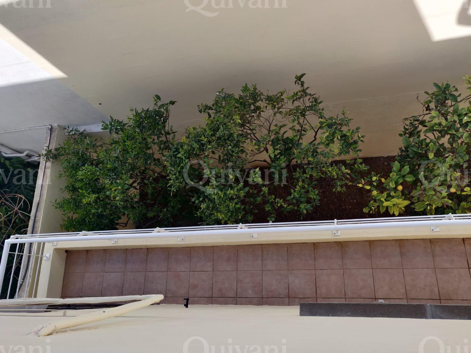 Tal-Ibrag, Furnished Semi-detached Villa