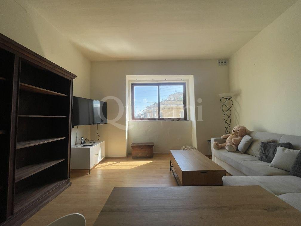 Fully Finished Apartment with Ownership of roof