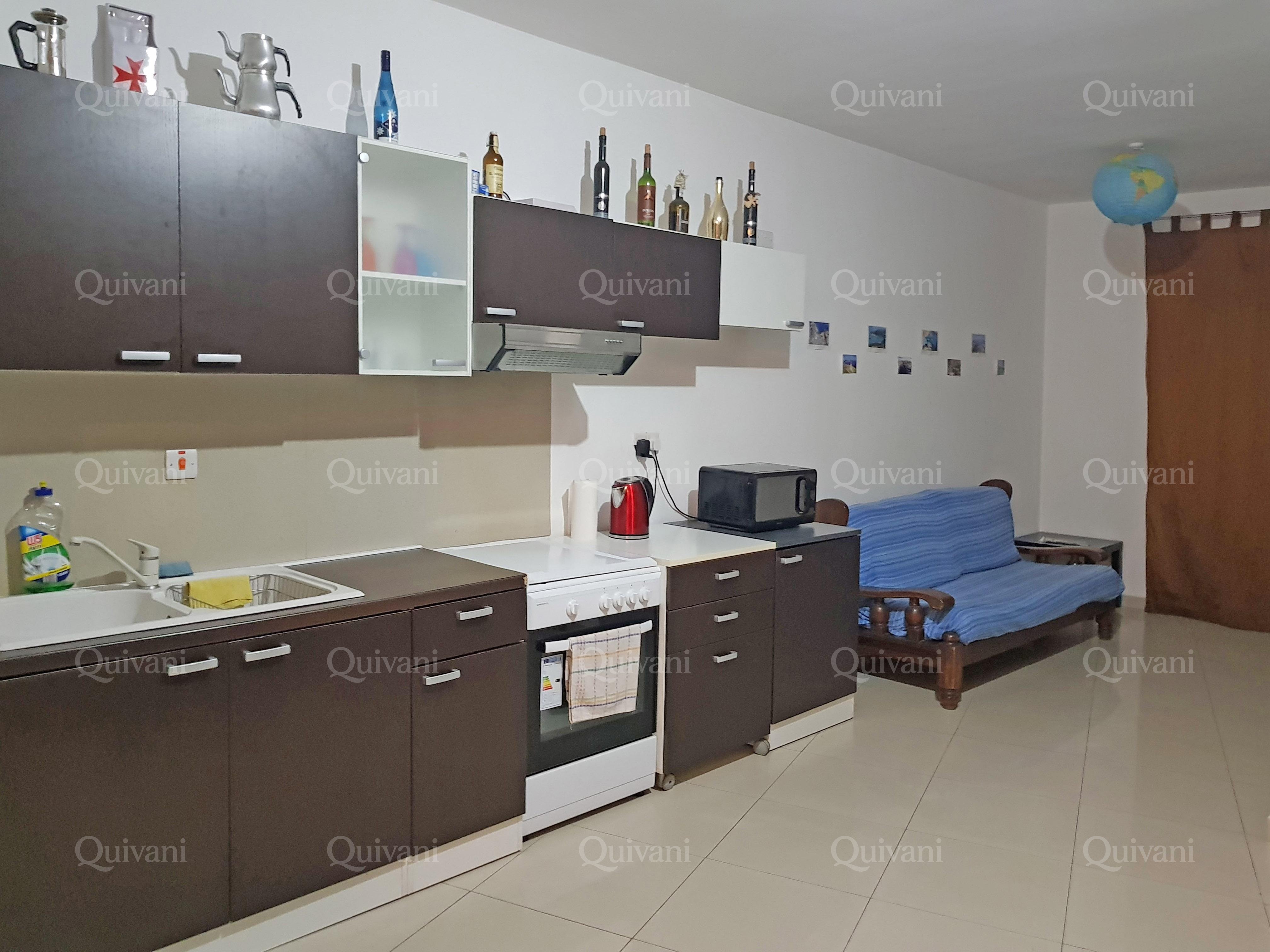 Hamrun, Furnished Penthouse
