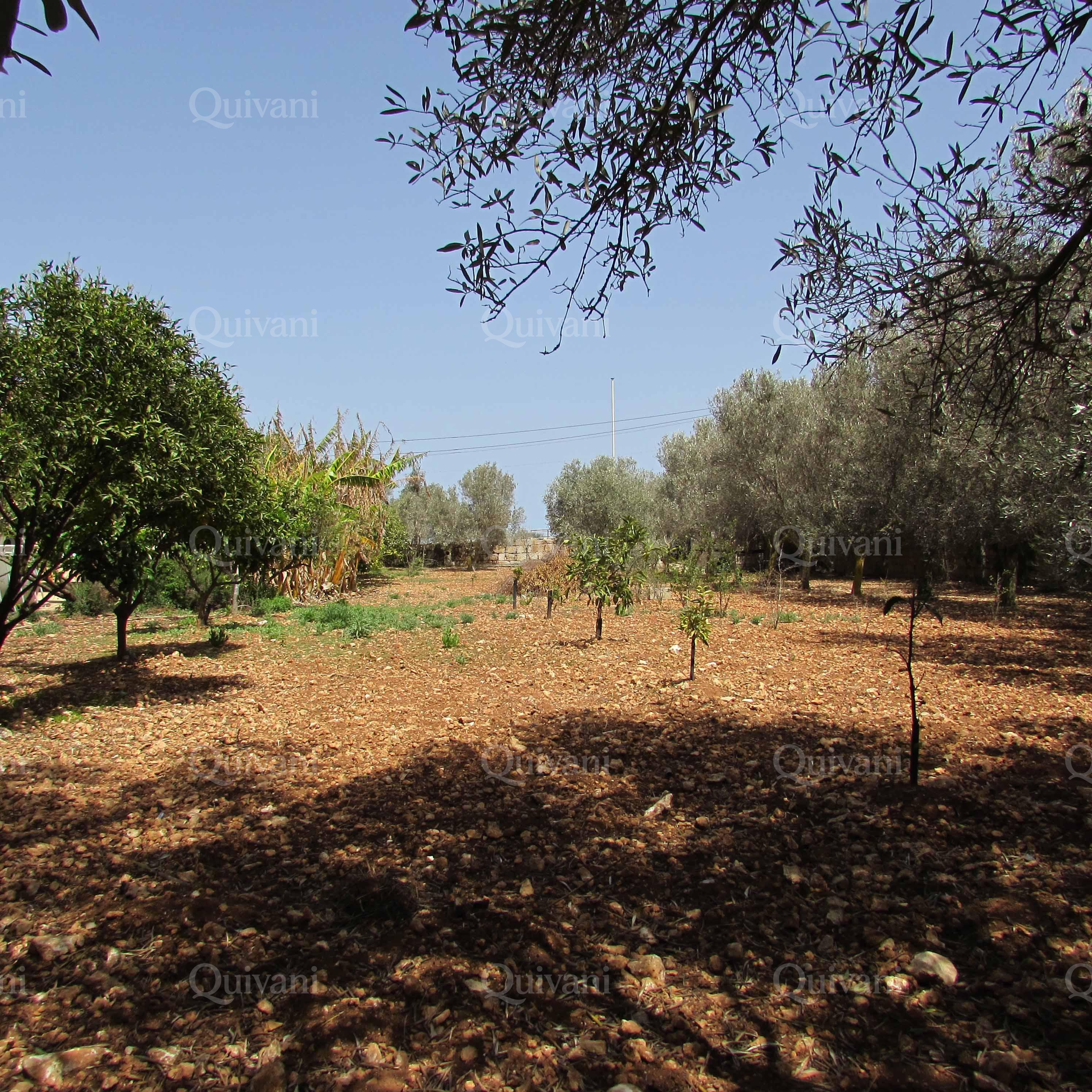 Mgarr, Furnished Farmhouse