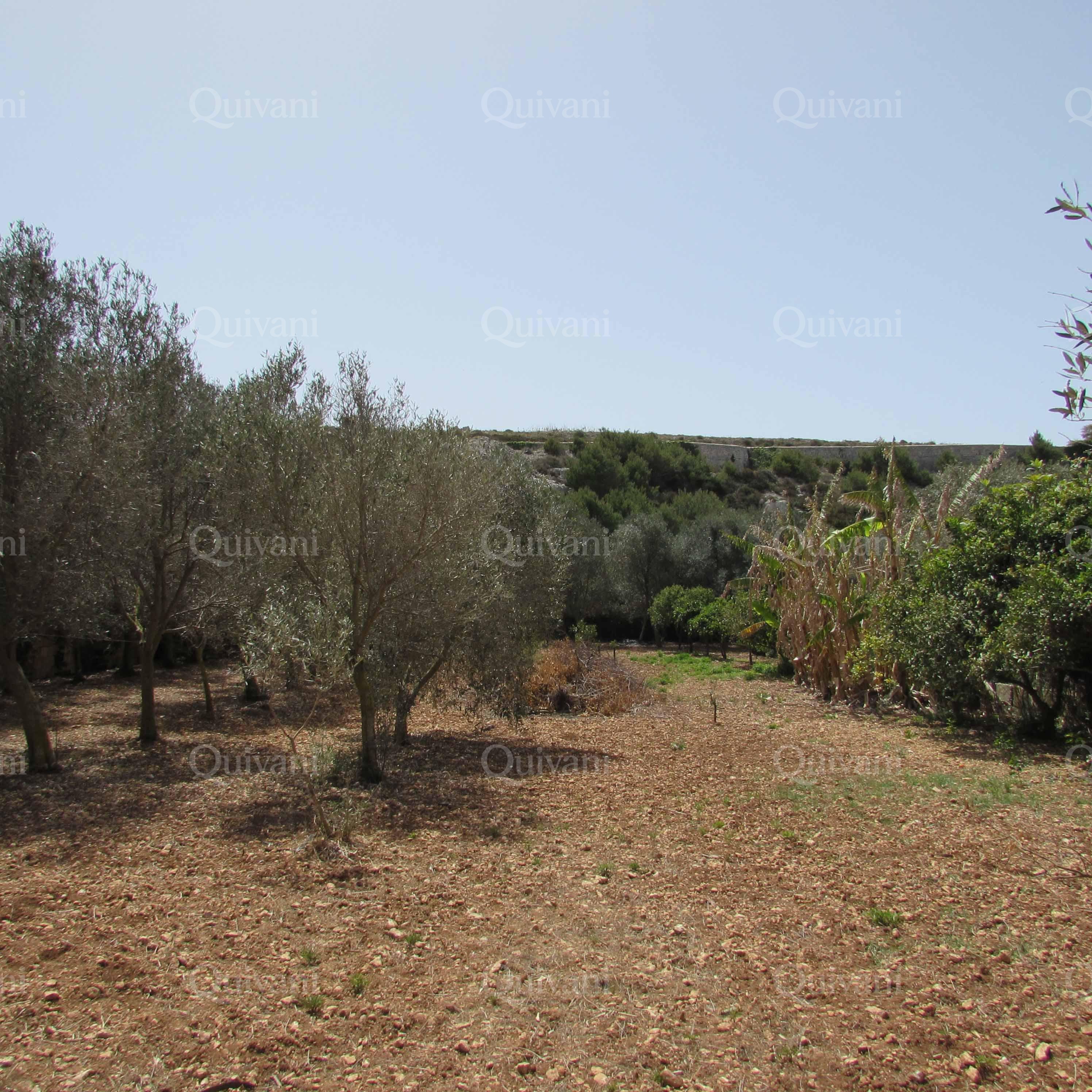 Mgarr, Furnished Farmhouse
