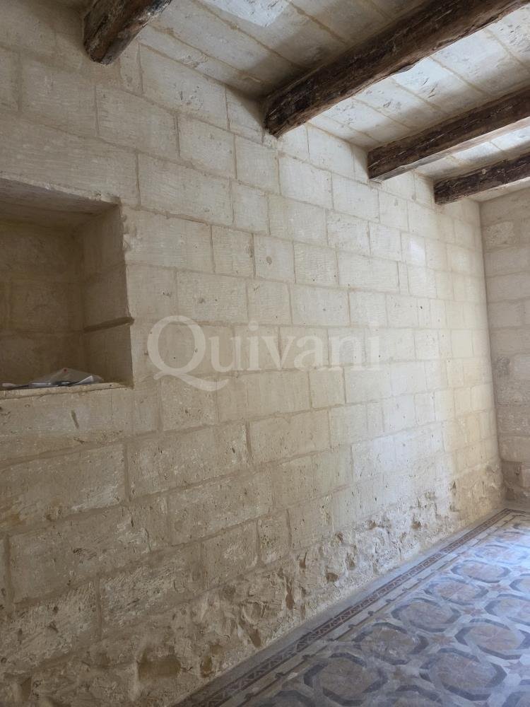Unconverted House of Character