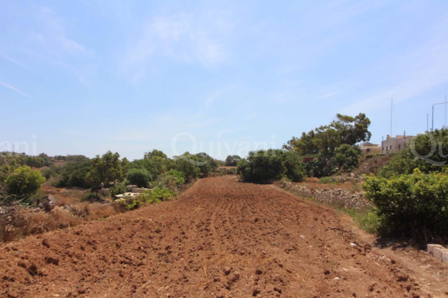 Kalkara, Unconverted Farmhouse