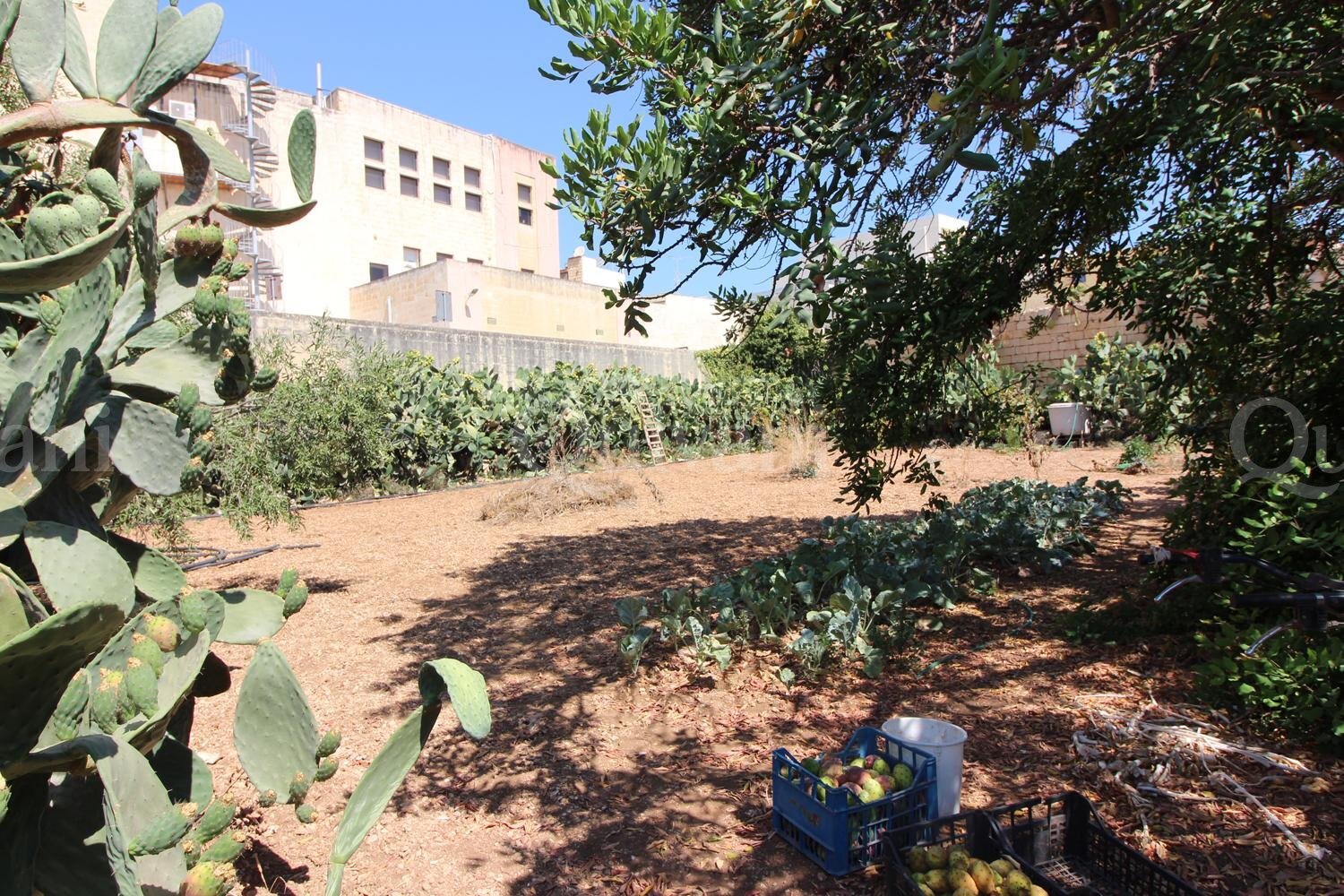Birkirkara, Unconverted House of Character