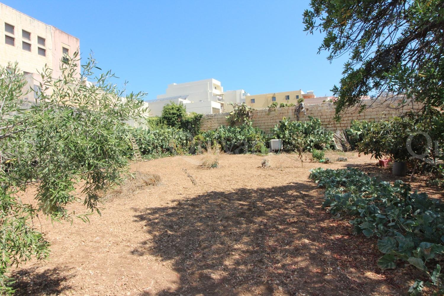 Birkirkara, Unconverted House of Character