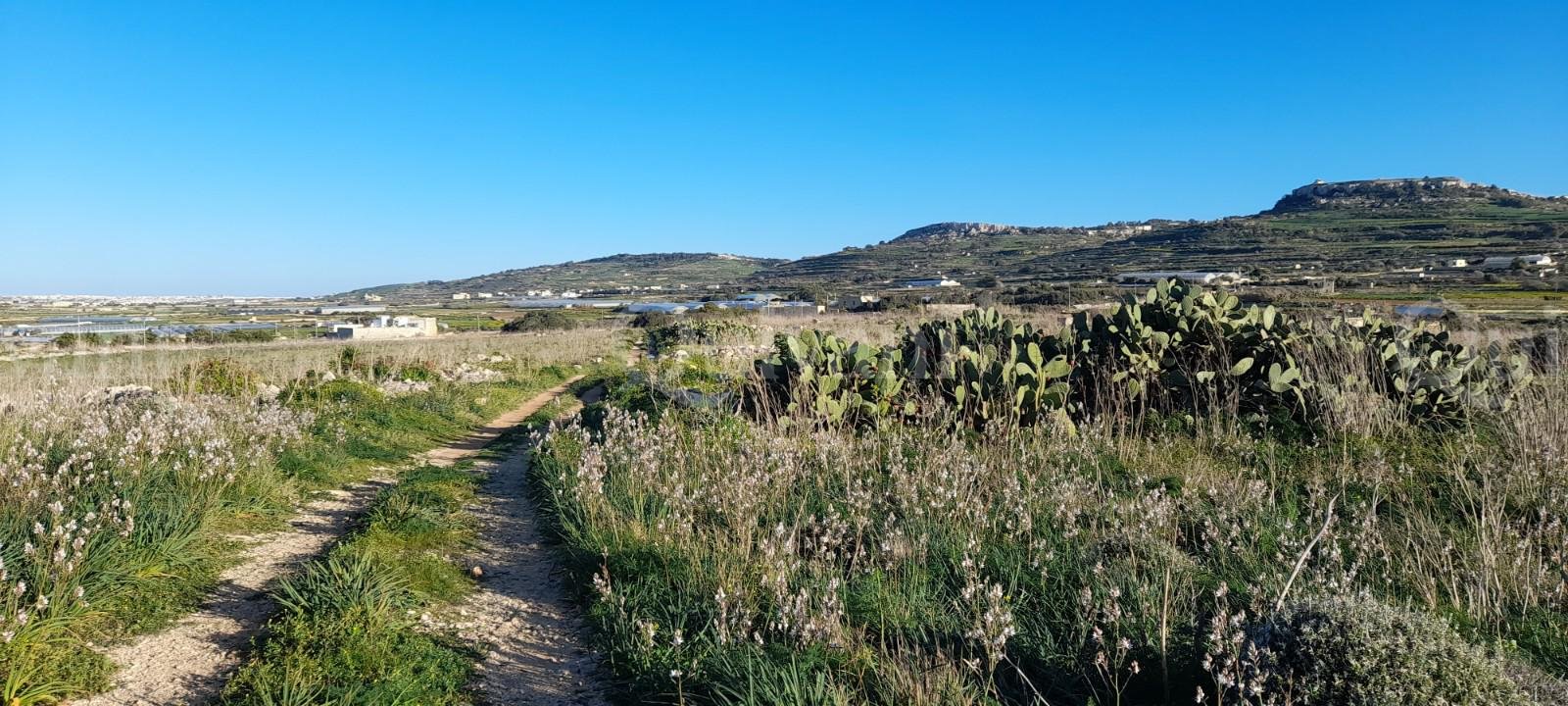 Mgarr