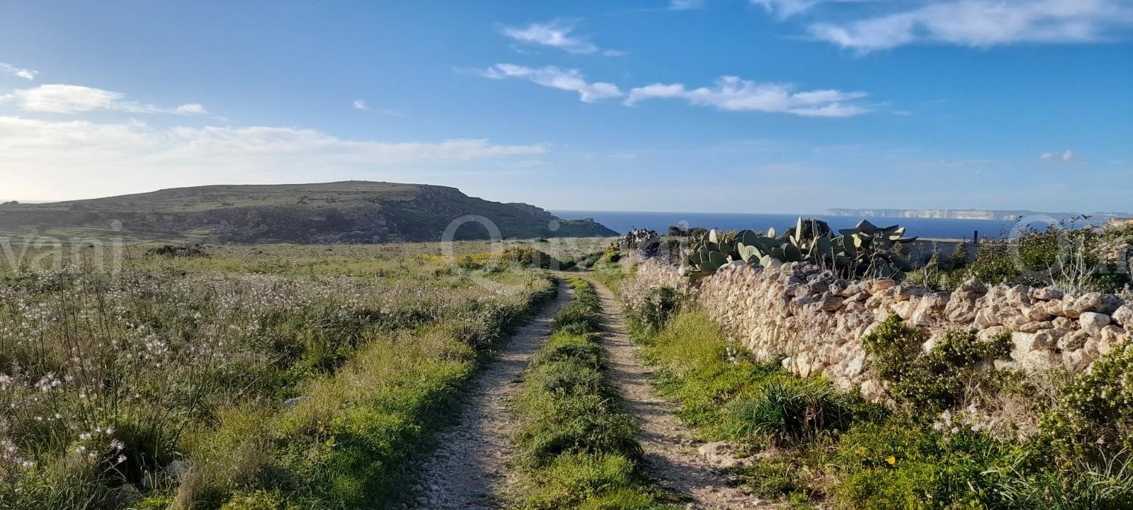 Mgarr