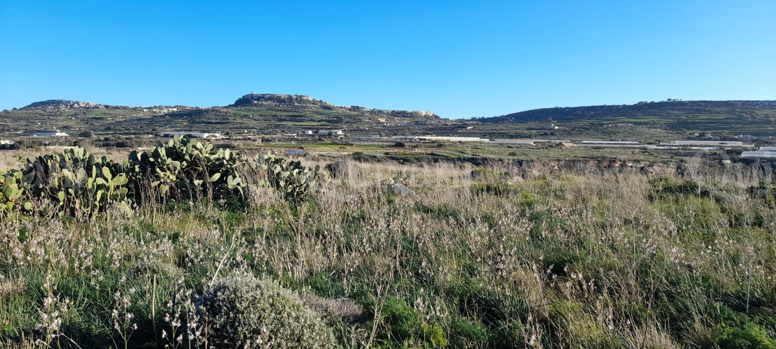 Mgarr