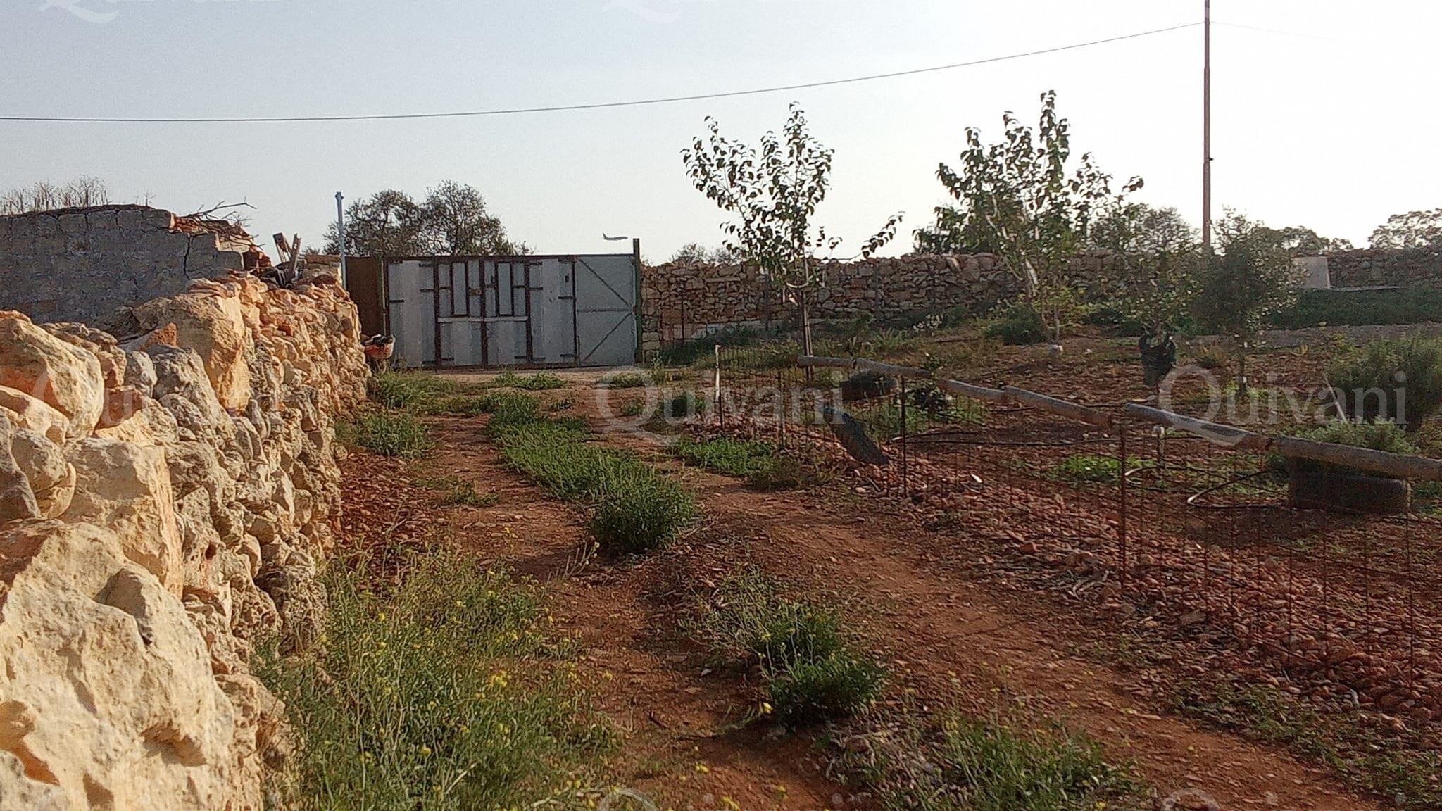 Ghaxaq Agricultural Land