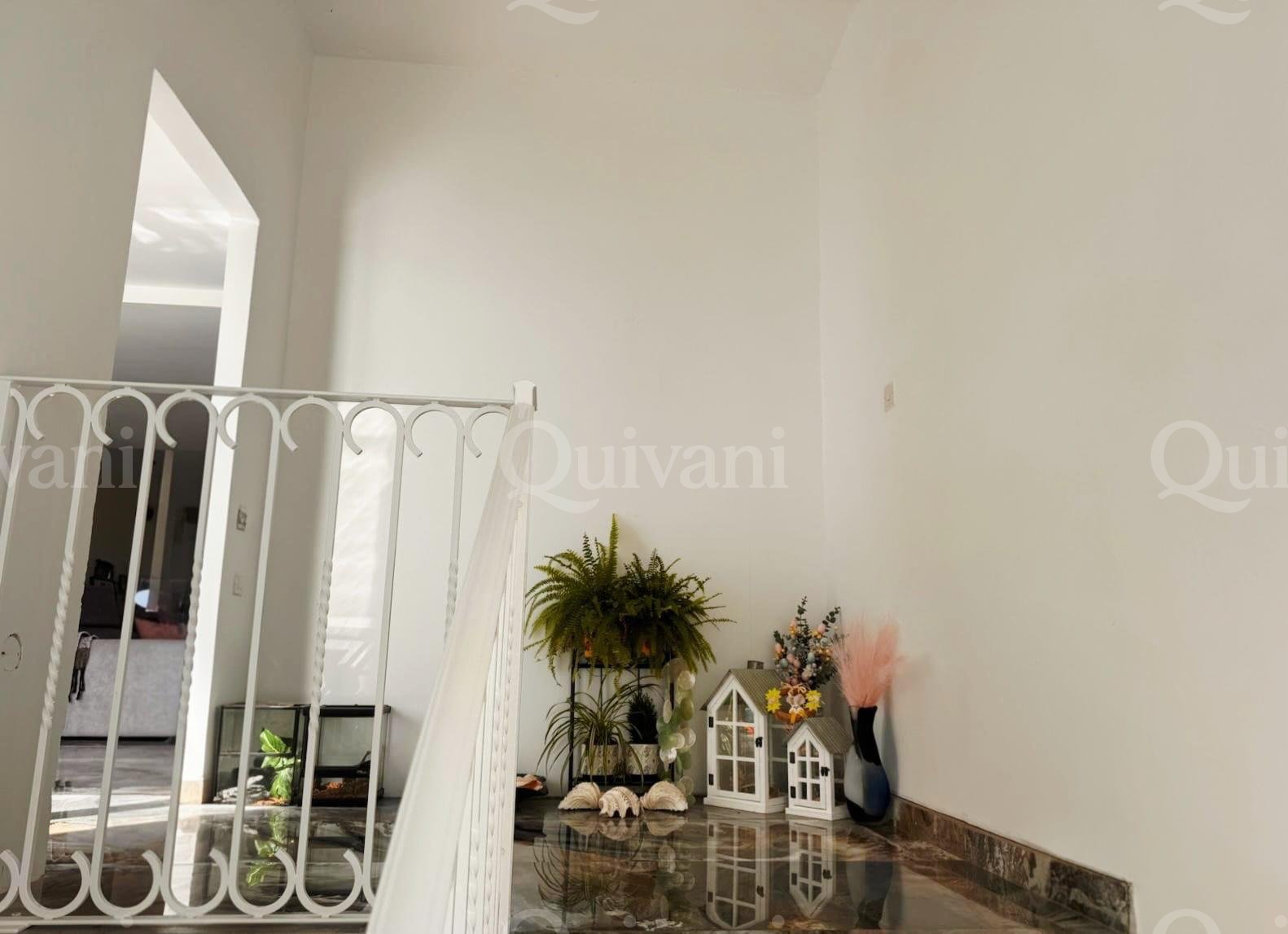 Lija, Penthouse