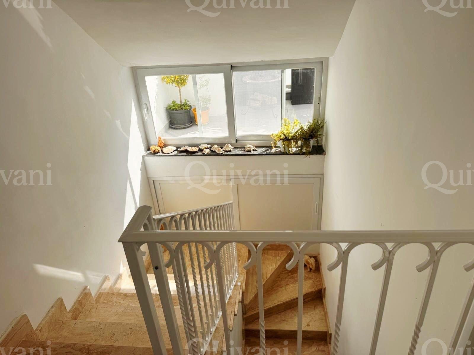 Lija, Penthouse