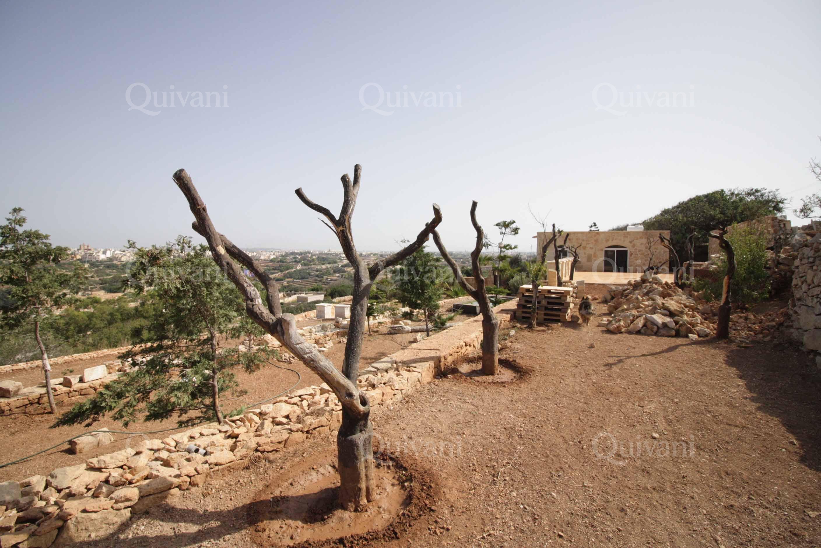 Zurrieq, Converted Farmhouse