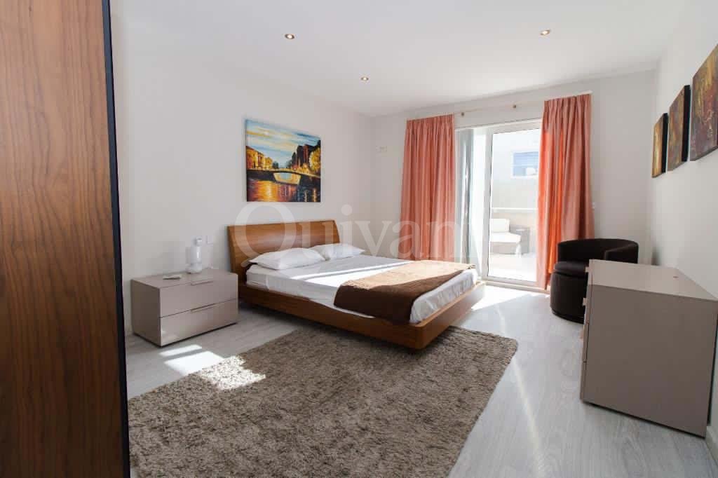 Msida, Furnished Penthouse