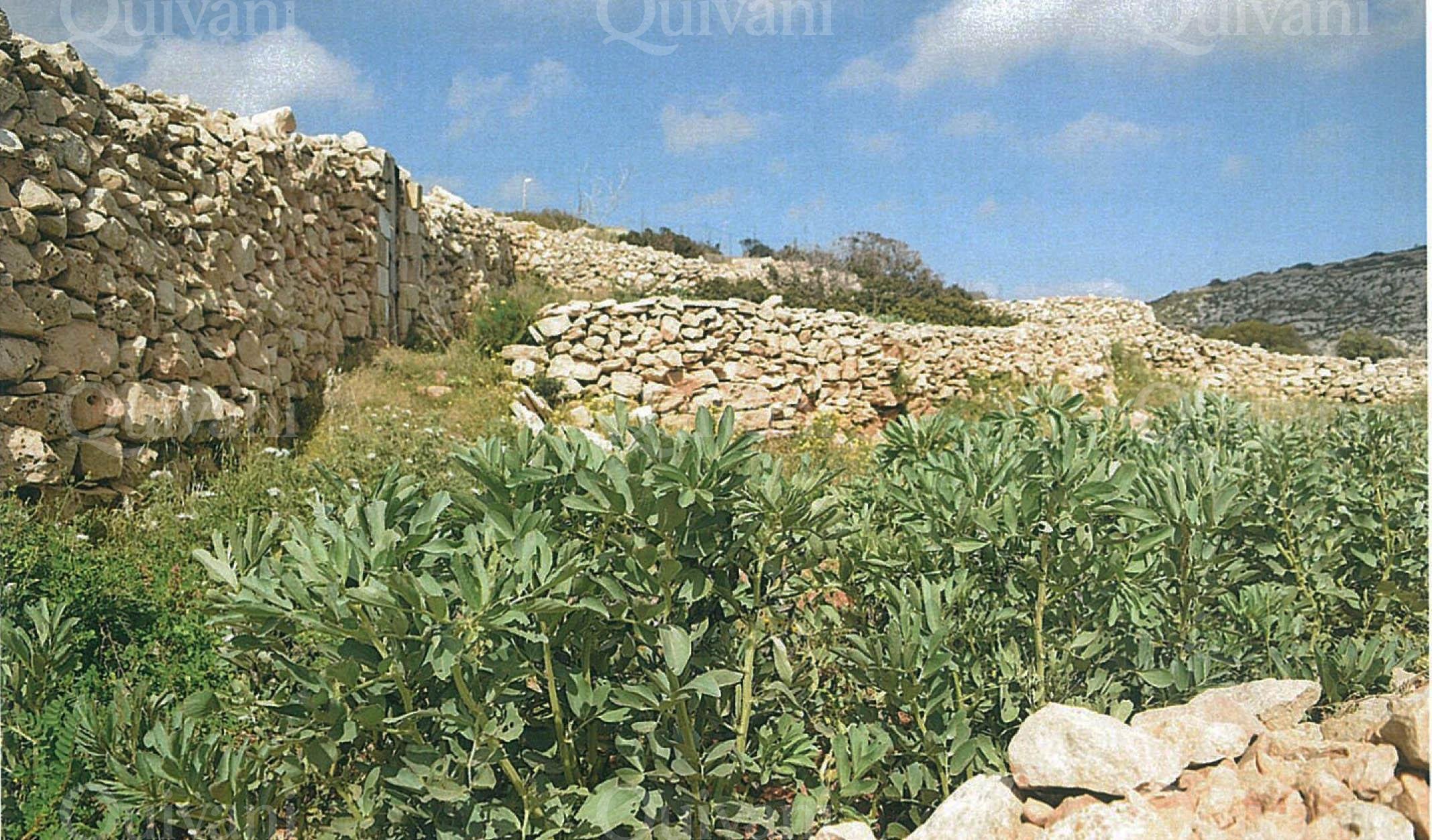 Qrendi Agricultural Land
