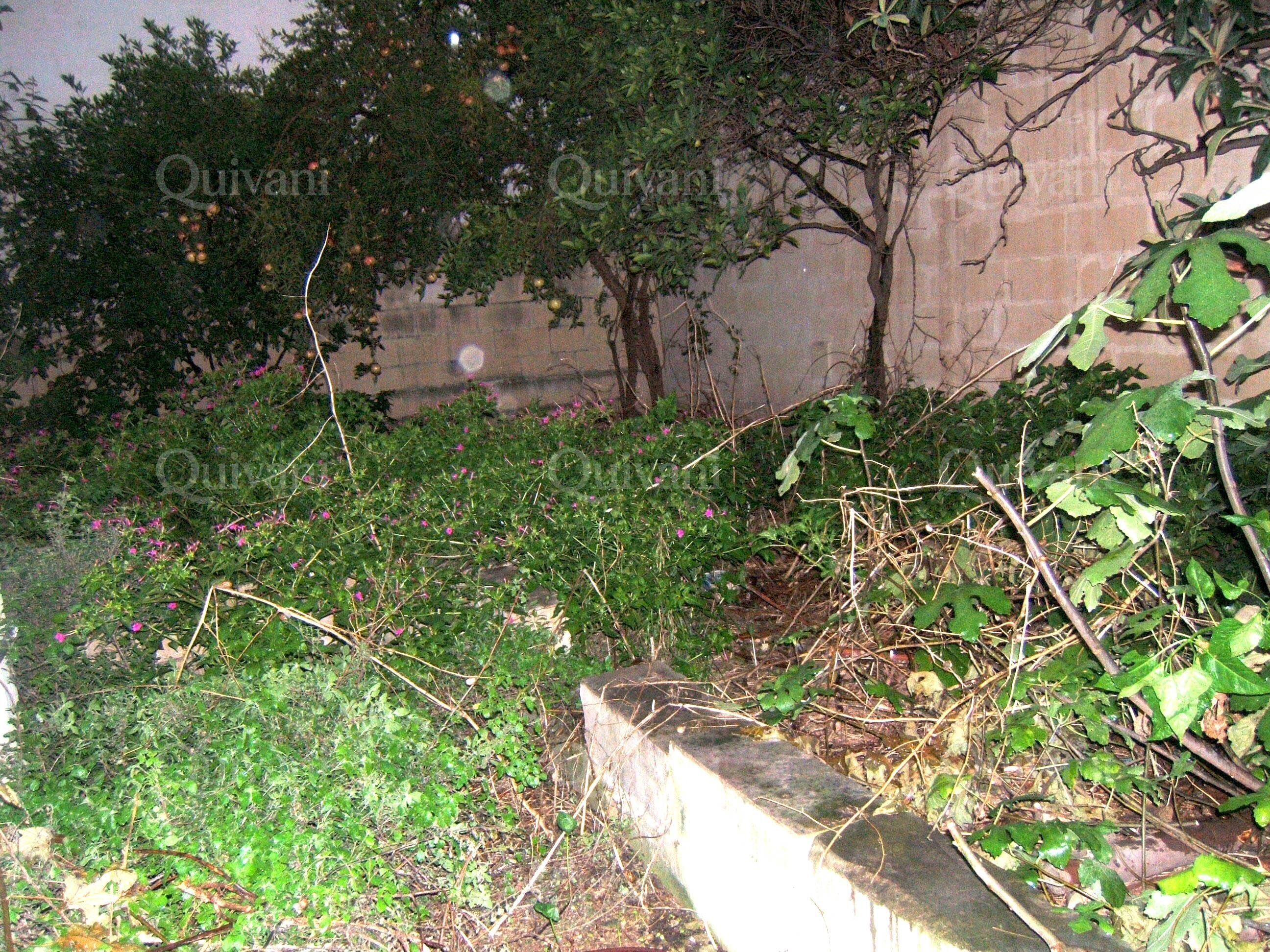 Paola Site (Residential)