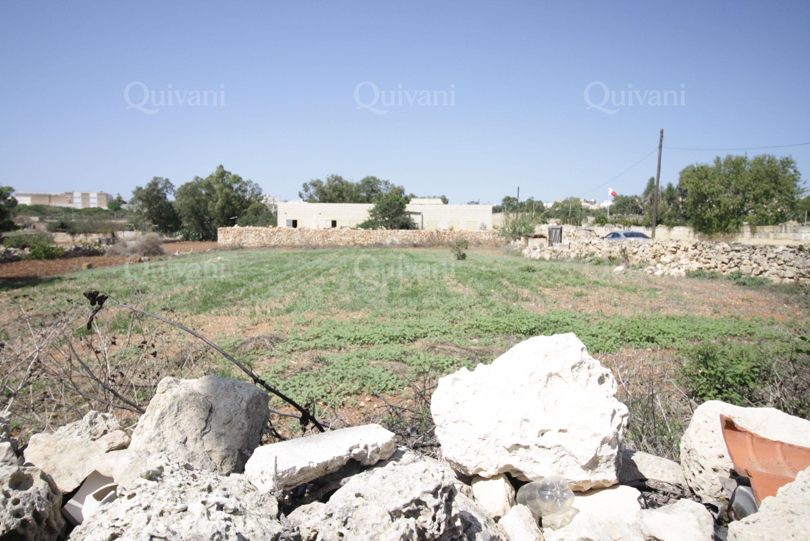 Zejtun Agricultural Land