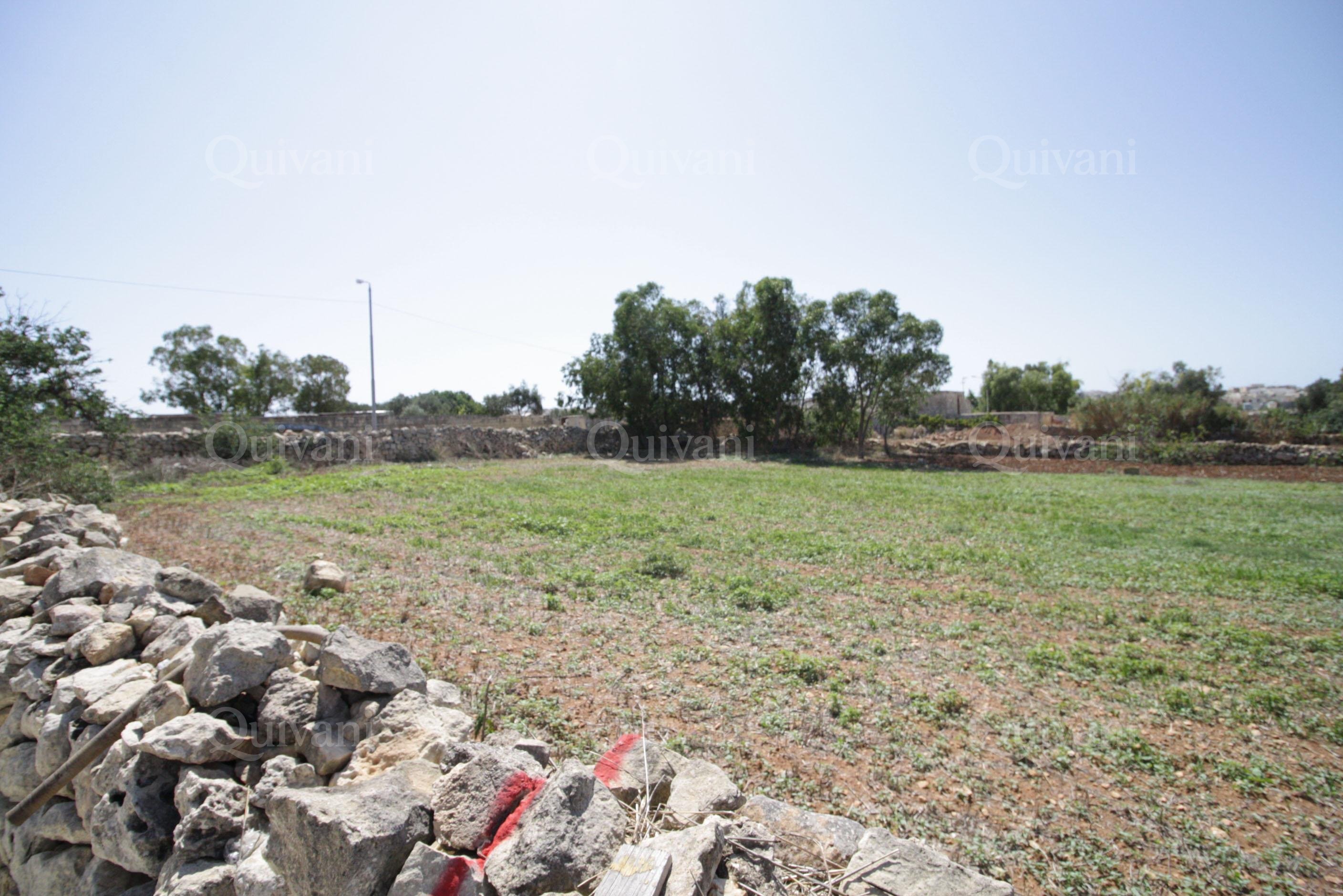 Zejtun Agricultural Land
