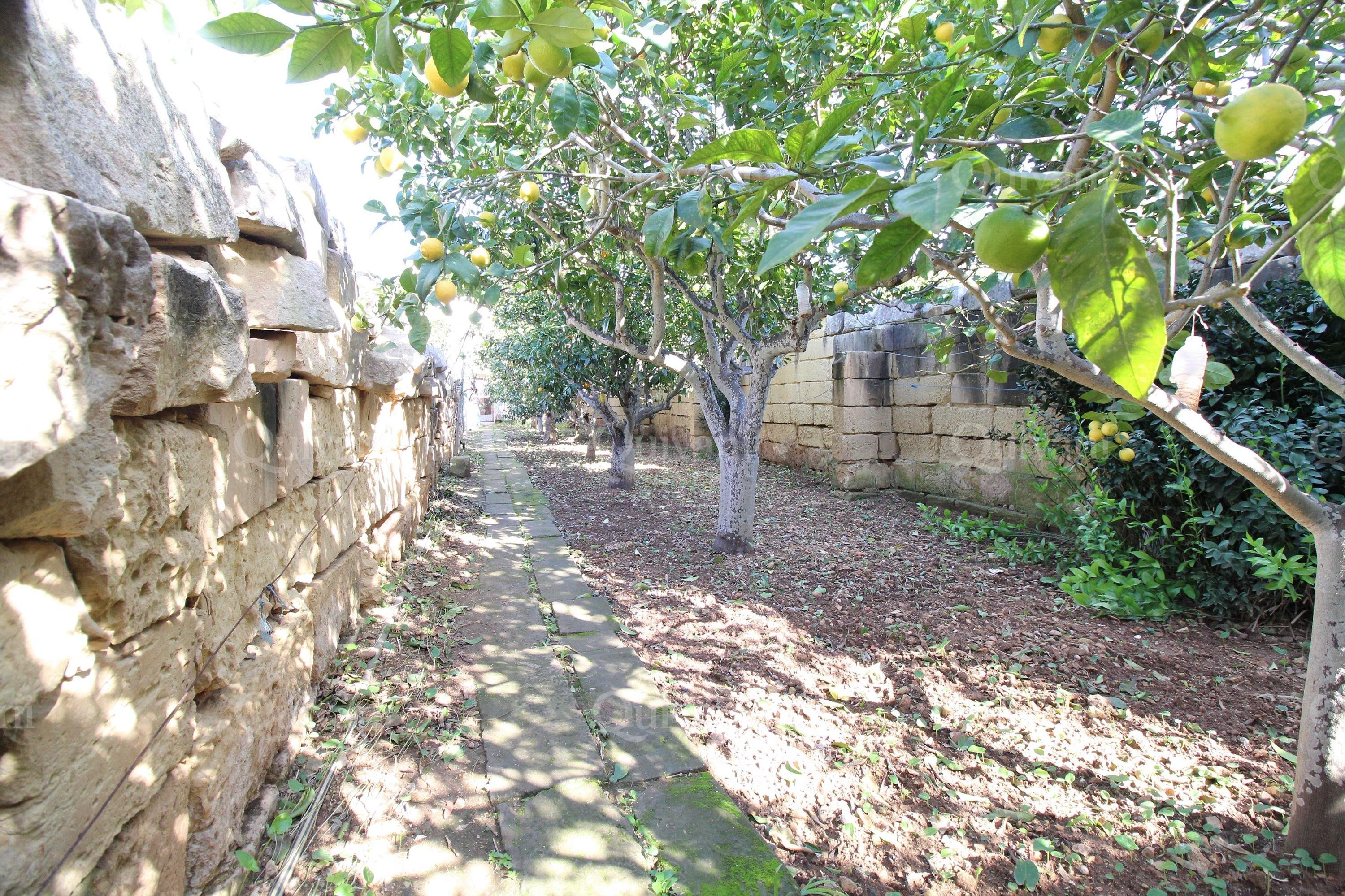 Qrendi, Town House + Garden